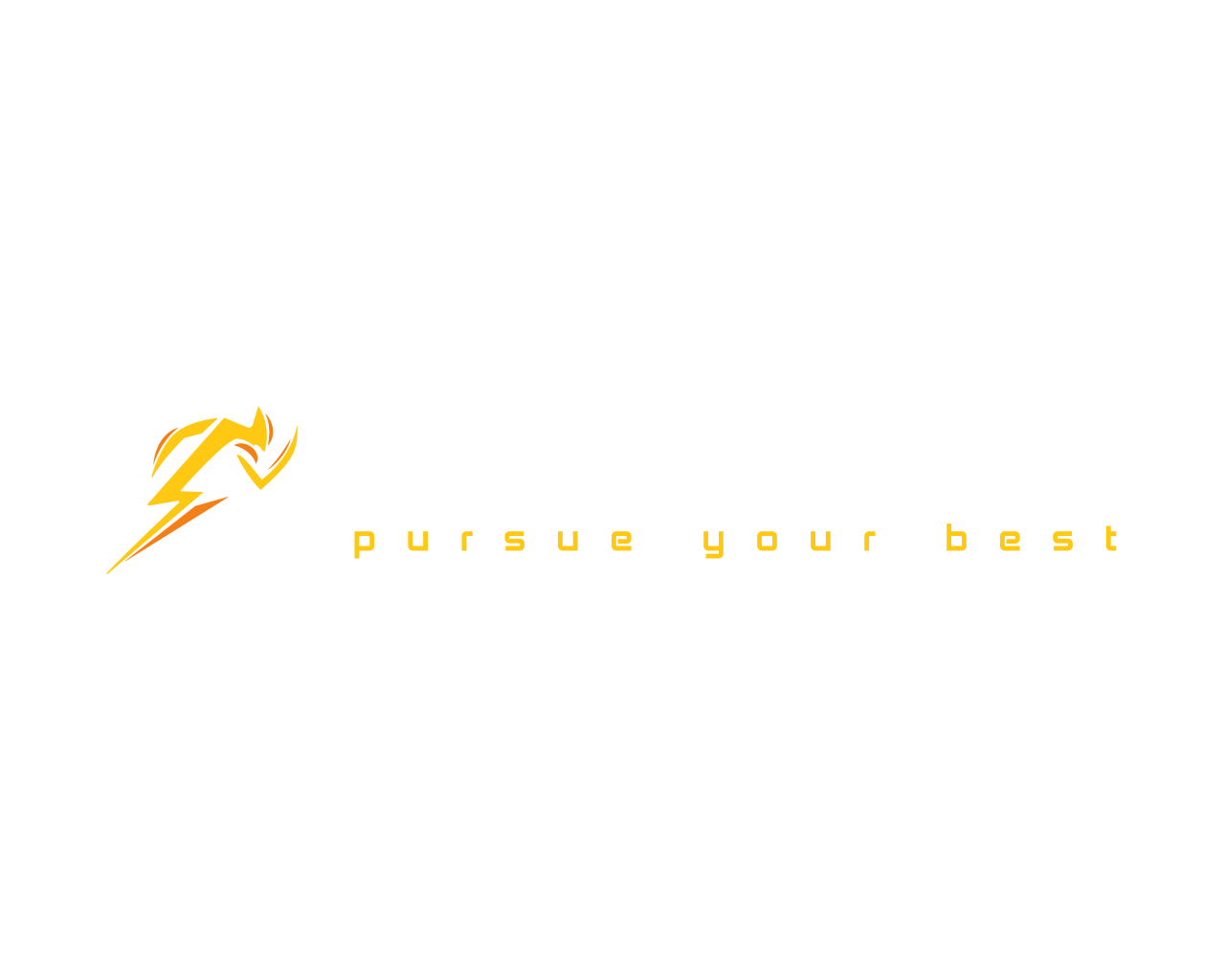 Coachlytics Logo